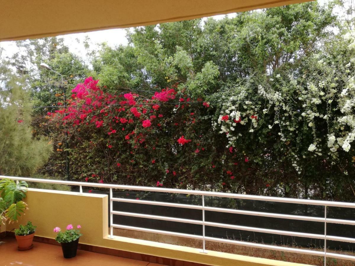 Apartament Refugio Madeira Caniço Zewnętrze zdjęcie